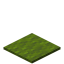 Green Carpet