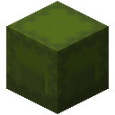 Green Shulker Box