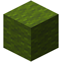 Green Wool
