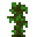 Jungle Sapling