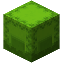 Lime Shulker Box