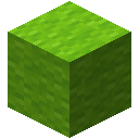 Lime Wool