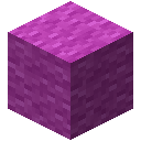 Magenta Wool