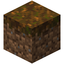 Podzol