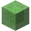 Slime Block